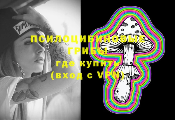 ECSTASY Богданович