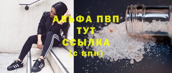 ECSTASY Богданович